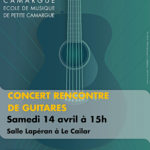 affiche concert "rencontre de guitares" école de musique de petite camargue